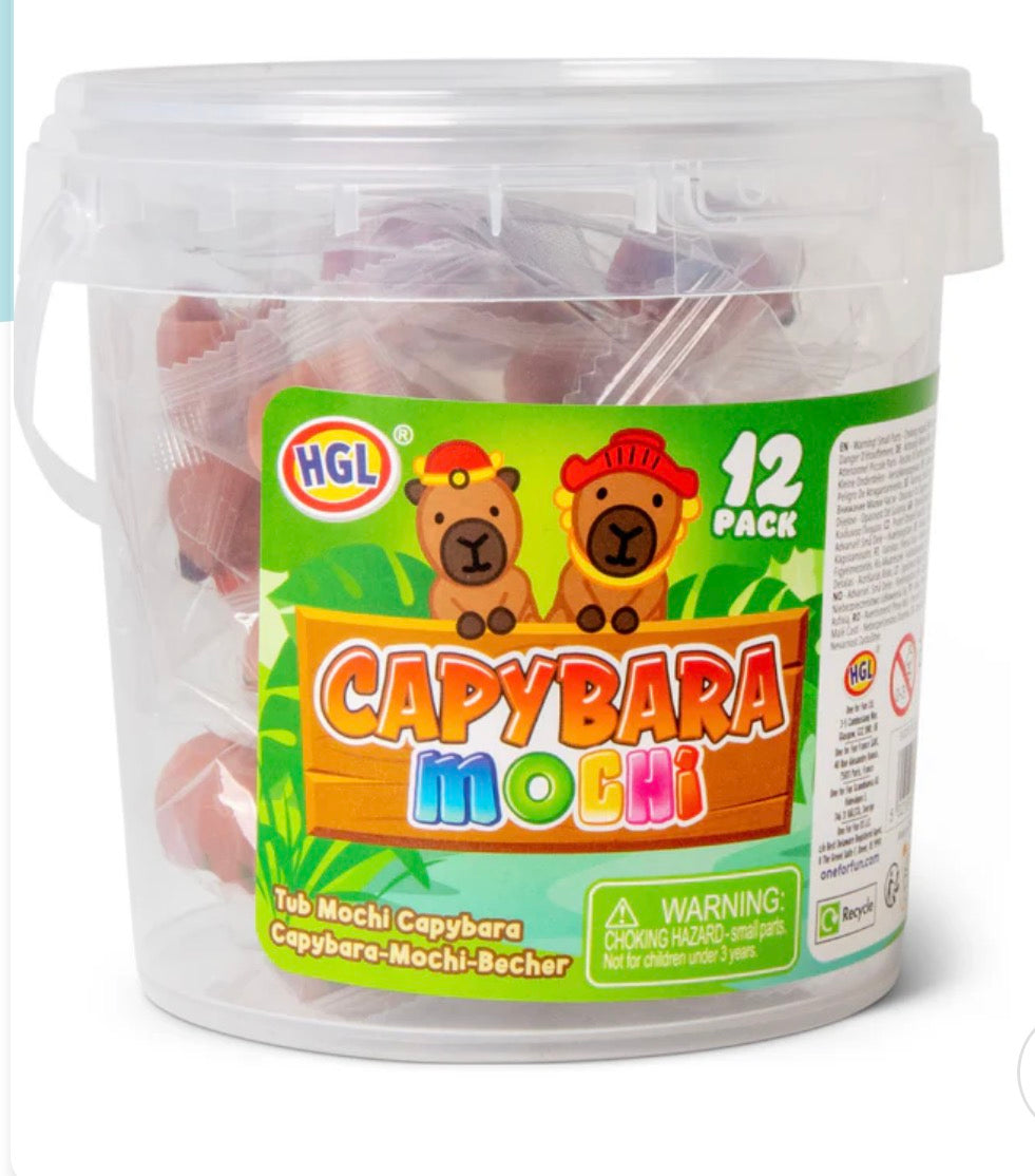 CAPYBARA MOCHI TUB 12PC
