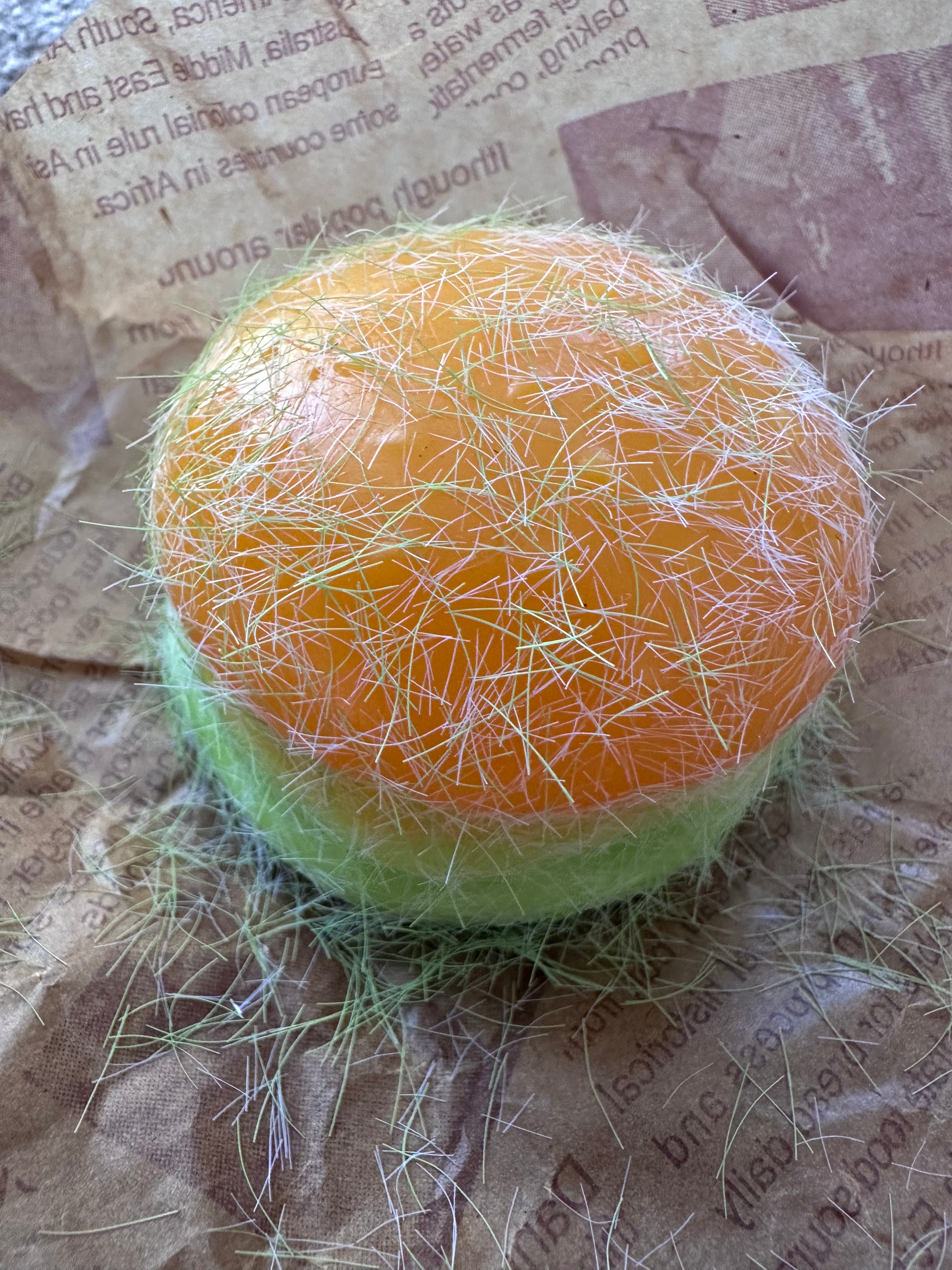 Spoiled Rotten Bad Burger – Gross Furry Squishy Sensory Toy