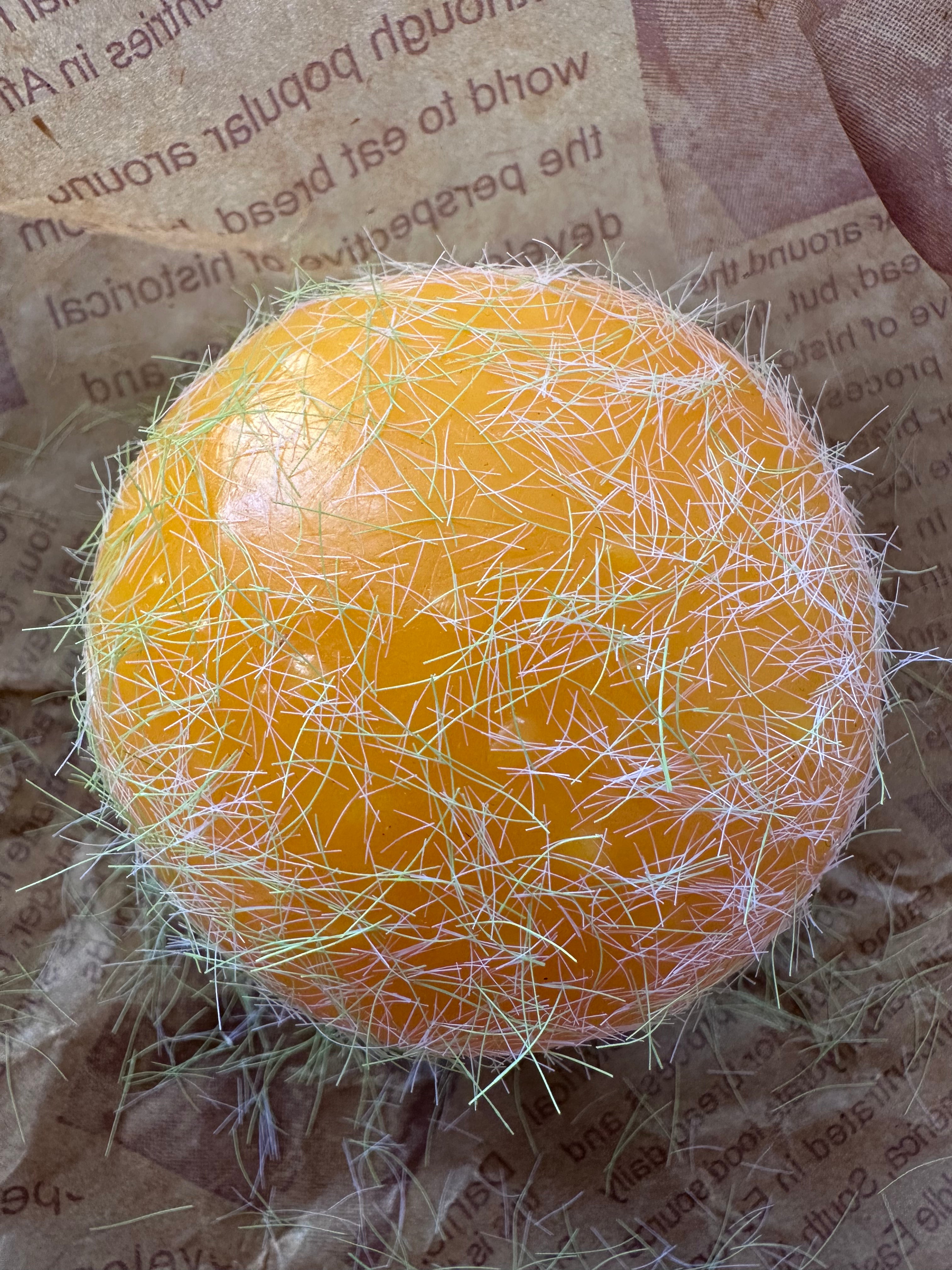 Spoiled Rotten Bad Burger – Gross Furry Squishy Sensory Toy