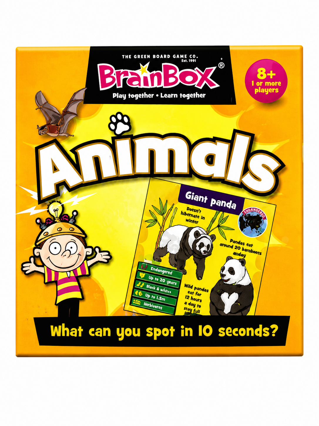 BrainBox Memory Game | Educational Family Card Game | 10 Minute Brain Challenge | Ages 4+