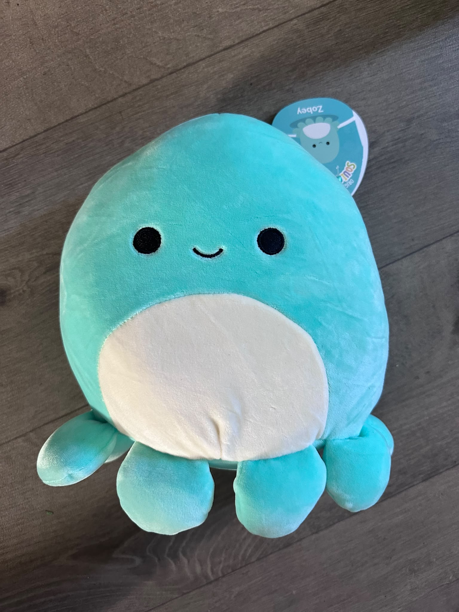 Squish Mellows Super Soft Plush Toy – Collect Them All! | Cute & Squishy Cuddly Plush