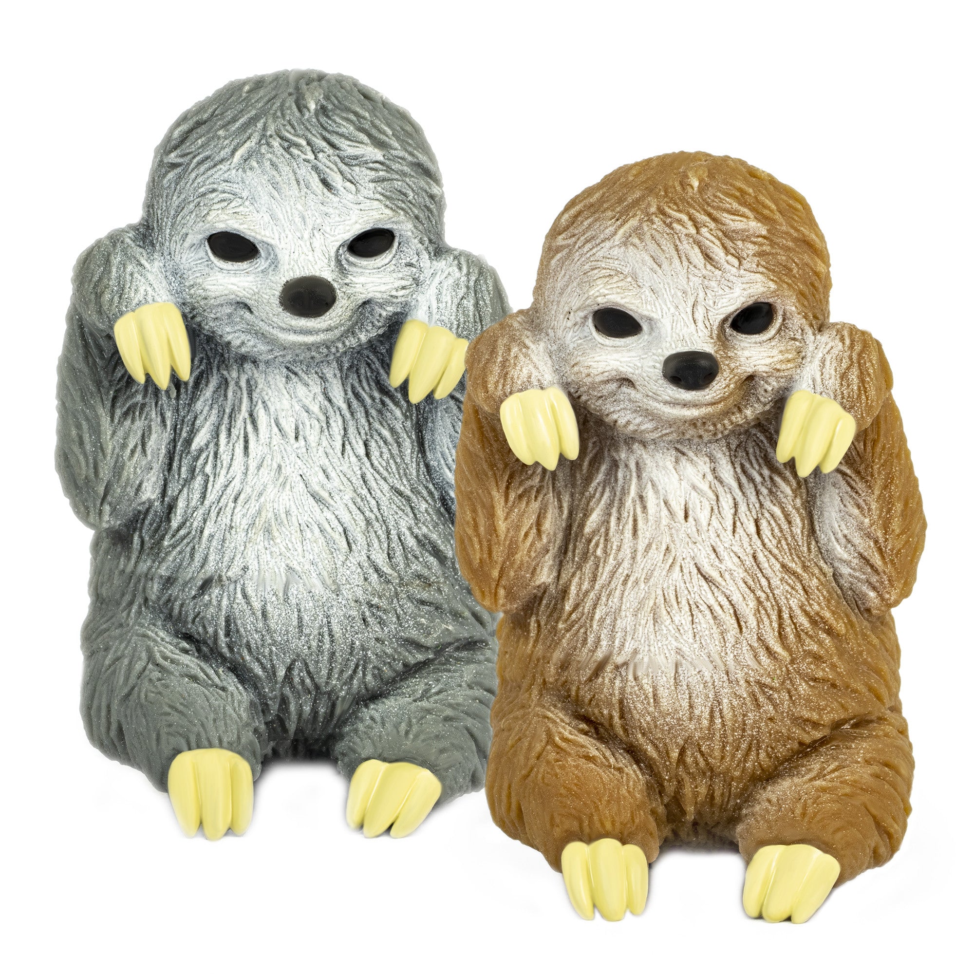 Cute Squidgy Sloth
