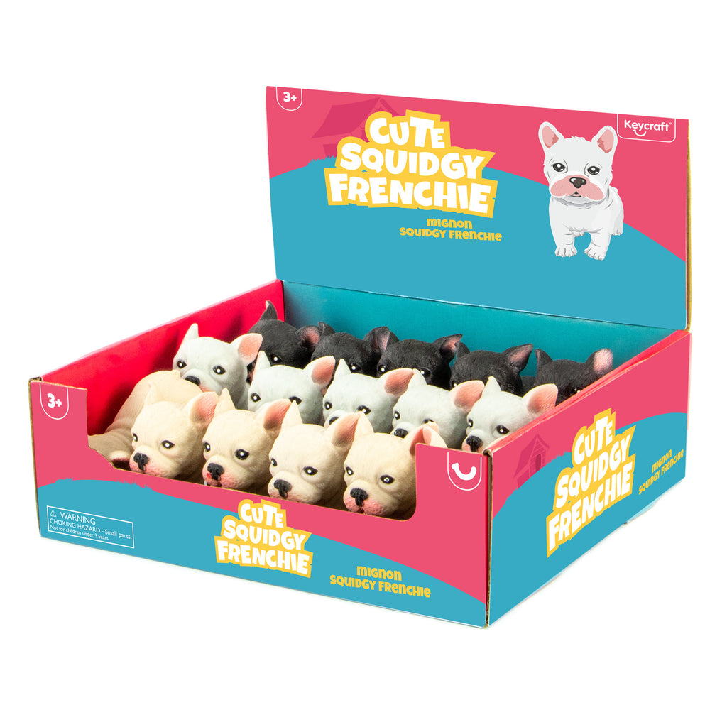 Cute Squidgy French Bulldog