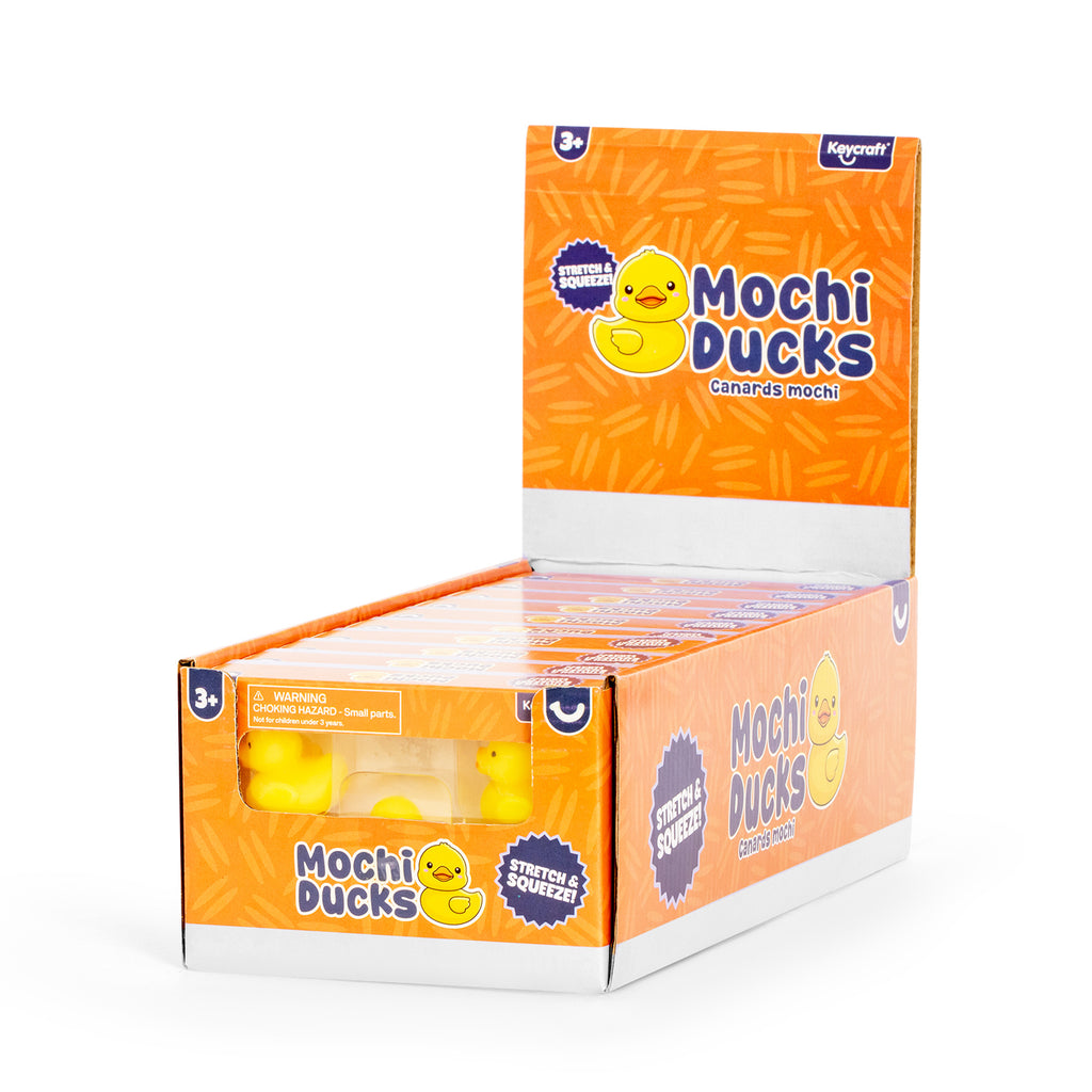 Squishy Mochi Ducks in box 5 pcs