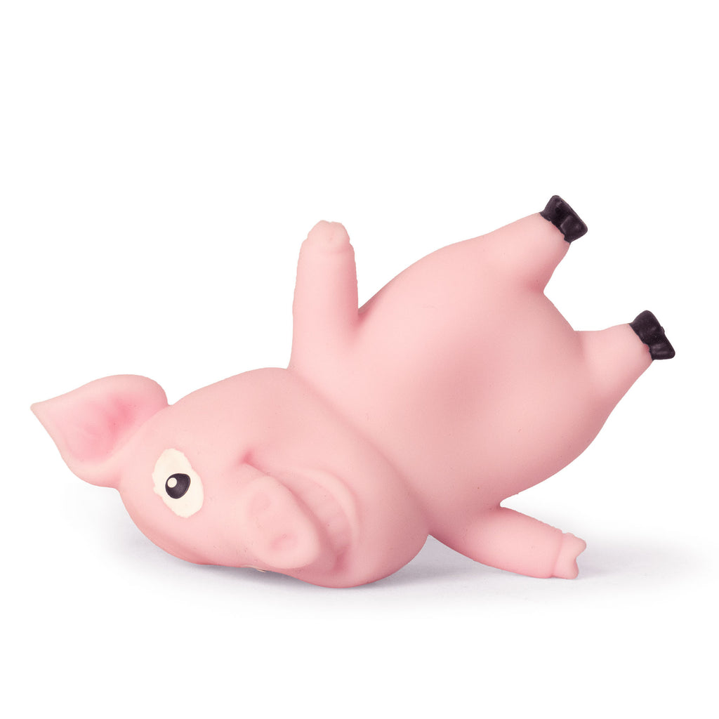 Stuck Pig Sensory Toy